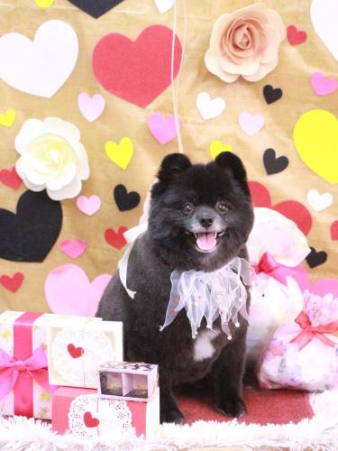 20230214れおくん